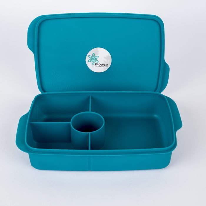Divided Lunch Box (1 Litre)