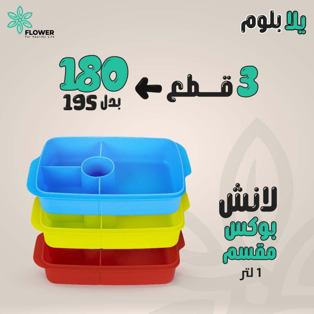 Divided Lunch Box (1 Litre) - Image 7